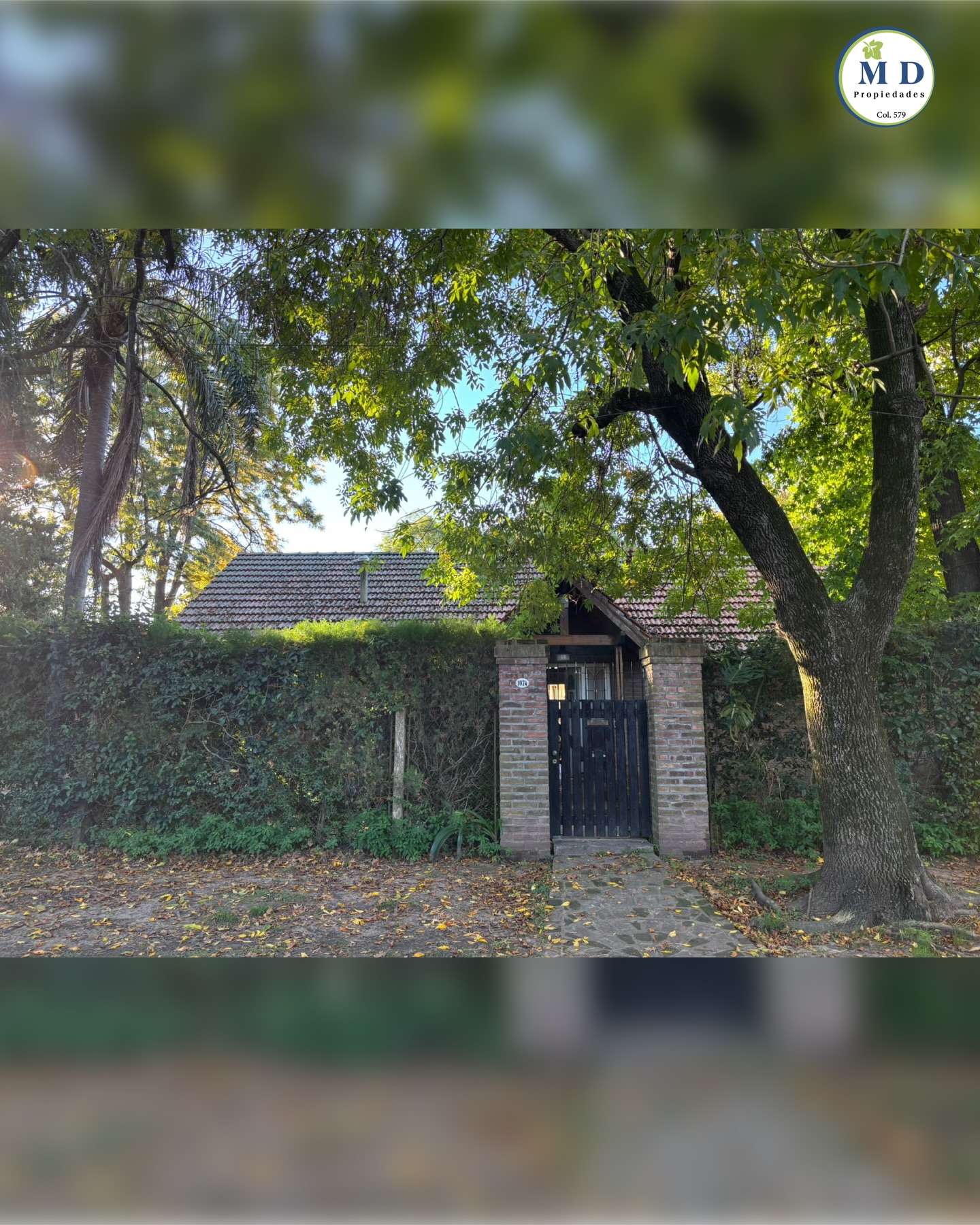 Chalet de una sola planta en Calle 371 entre 310 y 311, Ranelagh. - Imagen 10